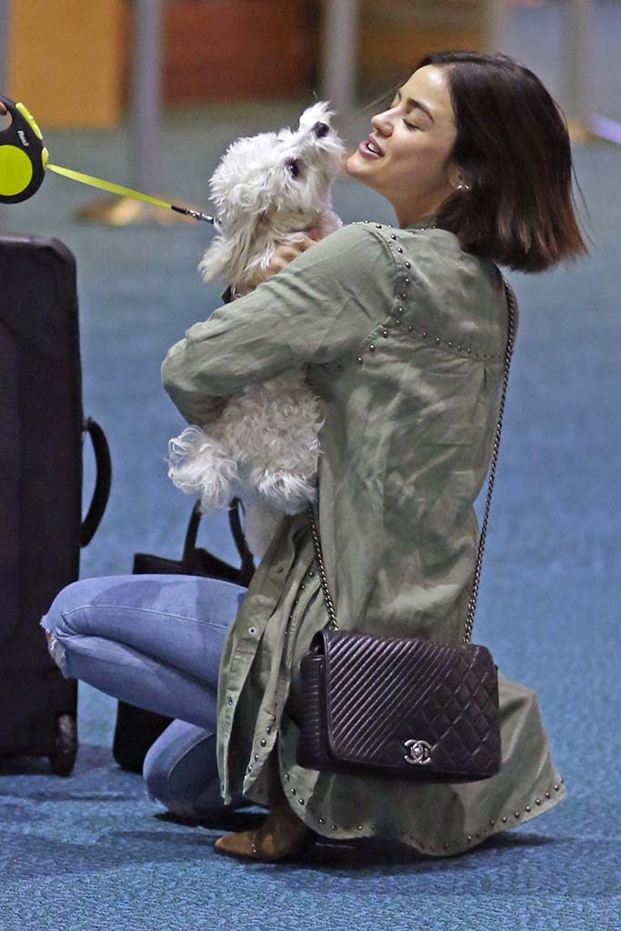 <p>Smothered in puppy love! The actress’s dog, Elvis, met her at the airport when she arrived back in Vancouver, Canada, after spending the weekend with her friends in L.A. (Photo: CYVR/BackGrid) </p>