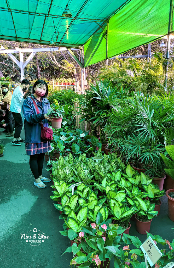 台中｜八角農園 