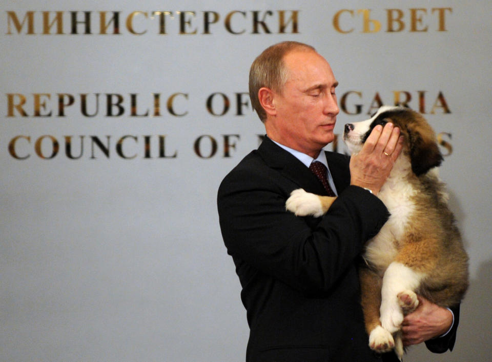 Putin hugs a Bulgarian shepherd dog -- a&nbsp;gift&nbsp;from Bulgarian Prime Minister -- after a press conference in Sofia, Bulgaria, on&nbsp;Nov. 13, 2010. He would later name the dog Buffy.