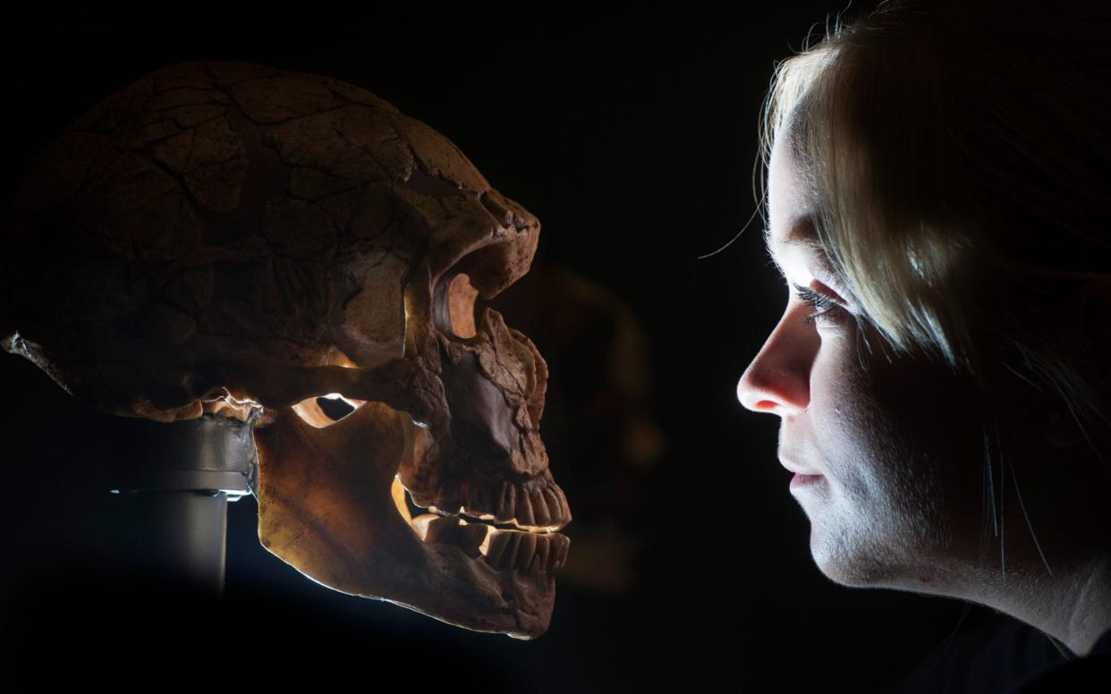 A woman looking at a Neanderthal skull at the Natural History Museum - Paul Grover