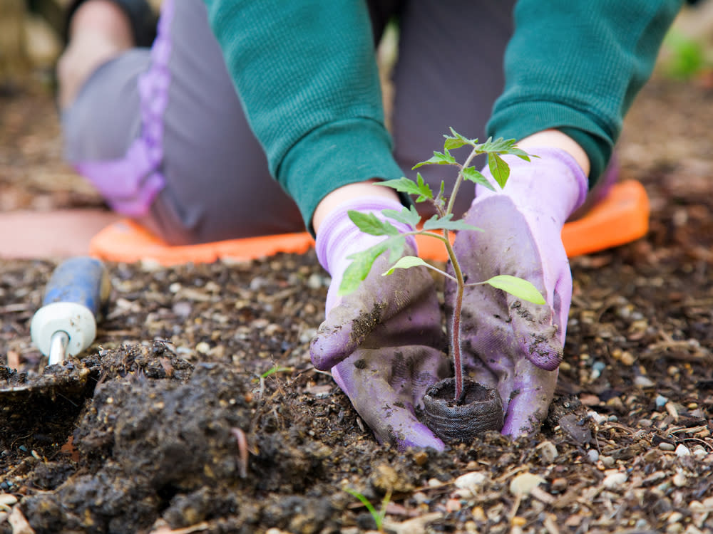 Wer seinen Garten schon im März pflegt, hat das restliche Jahr mehr von ihm. (Bild: Alexey Stiop/Shutterstock.com)