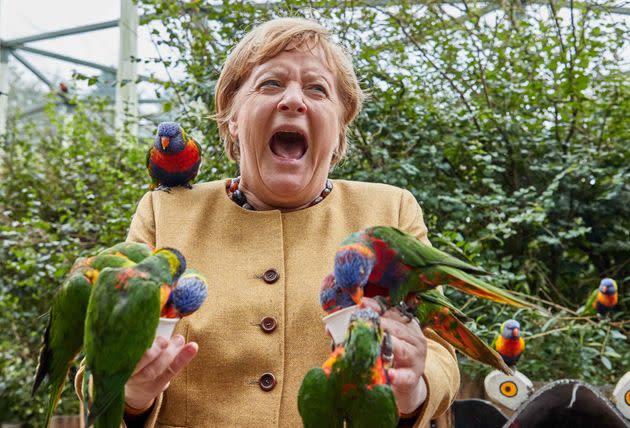 Federal Chancellor Angela Merkel visits the bird park Marlow (Photo: picture alliance via dpa/picture alliance via Getty I)