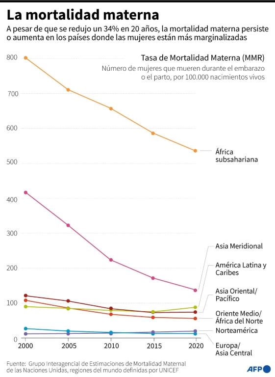 Evolución de la tasa de mortalidad materna en diferentes regiones del mundo, entre 2000 y 2023, según datos de la Organización Mundial de la Salud (OMS) (Laurence SAUBADU)