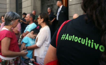 A demonstrator wears a t-shirt with the word "Home grow" written on it as she waits outside the Congress for the Senate to pass a law to legalise the medical use of cannabis in Buenos Aires, Argentina, March 29, 2017. REUTERS/Marcos Brindicci