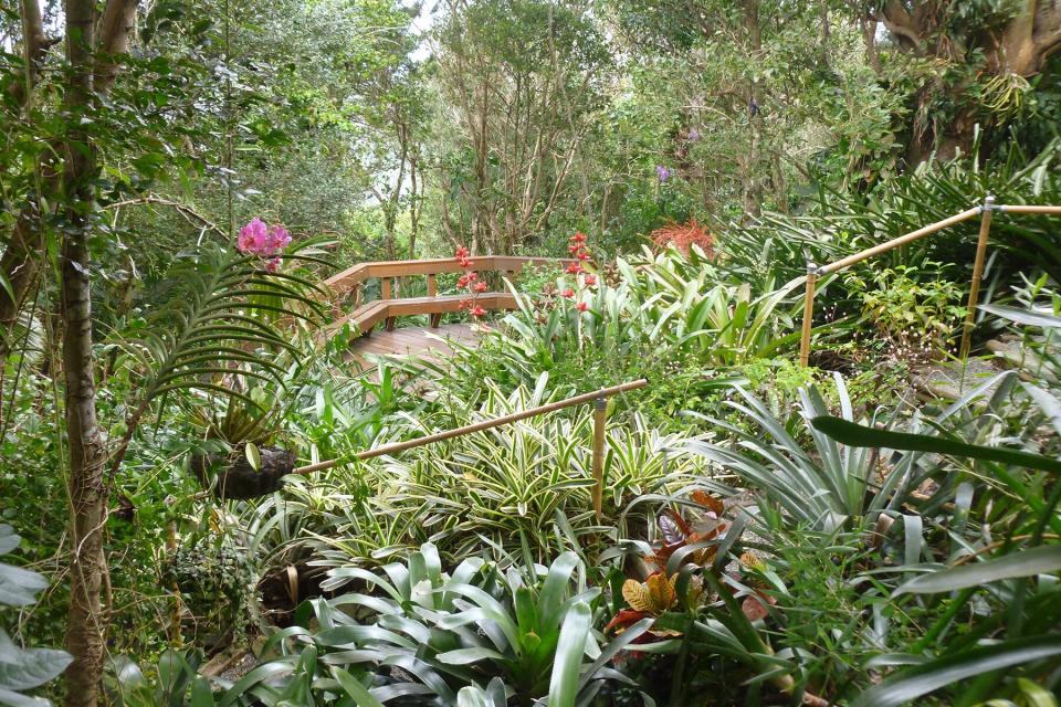 The VI - Deck at Phantasea Tropical Botanical Garden, St. Thomas