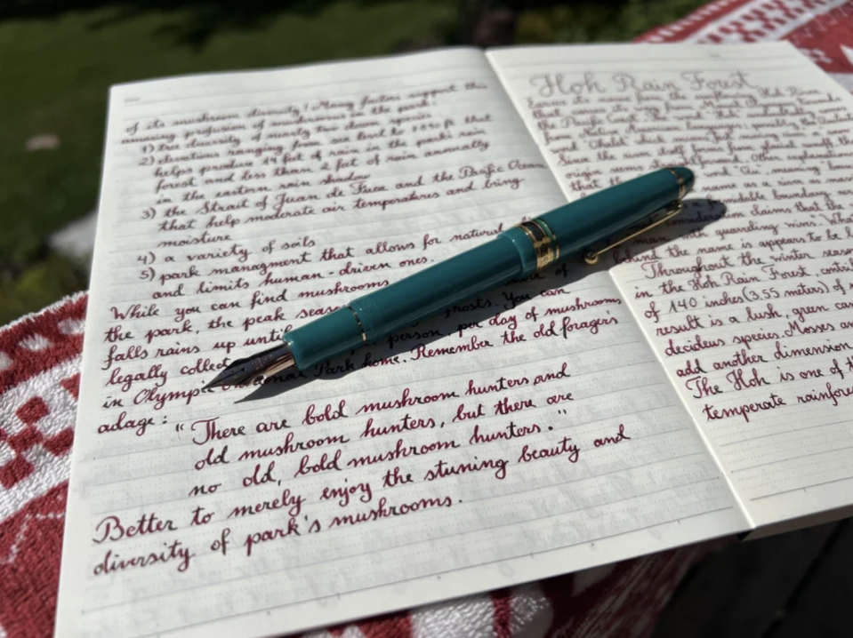 A woman is showcasing her journal that she writes cursive in