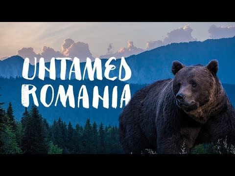 14) "Untamed Romania" (2018)