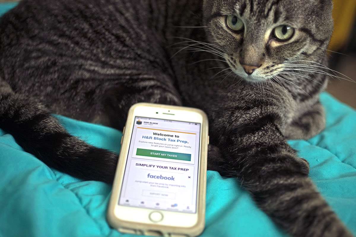 A cat is photographed with the H &R Block app on the phone right next to the cat.