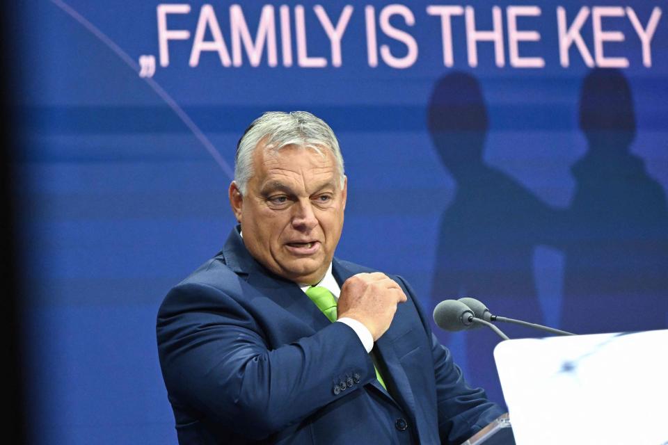 Hungarian Prime Minister Viktor Orban addresses the 5th Demographic Summit in the Fine Arts Museum in Budapest (AFP via Getty Images)