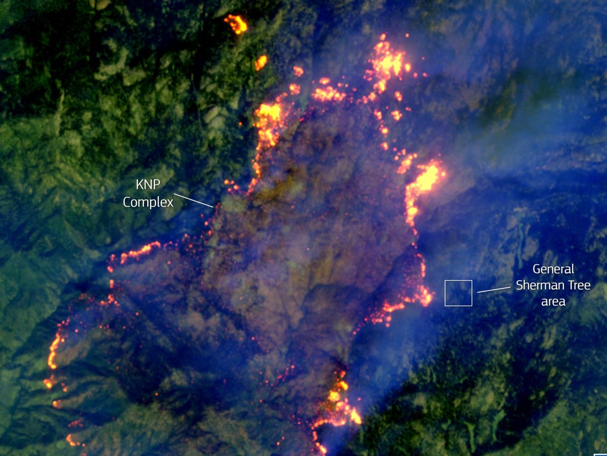 A satellite image on 18 September 2021, shows the KNP Complex fire in California moving towards the site of General Sherman, the largest single stem tree in the world (European Union, Copernicus Sentinel-2 imagery)