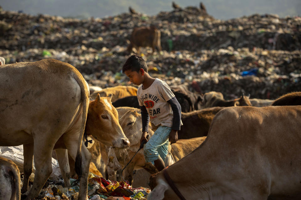 Imradul Ali, 10, looks for recyclable material at a landfill on the outskirts of Gauhati, India, Thursday, Feb. 4, 2021. Once school is done for the day, Ali, rushes home to change out of his uniform so that he can start his job as a scavenger in India’s remote northeast. Coming from a family of scavengers or “rag pickers," Ali started doing it over a year ago to help his family make more money. Ali says he doesn’t want to spend his life doing this, but he doesn’t know what the future holds. (AP Photo/Anupam Nath)