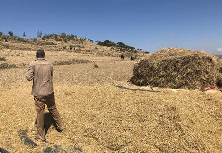 An Ethiopian farmer works on his land near Mekelle, Tigray region of northern Ethiopia December 10, 2018. REUTERS/Maggie Fick