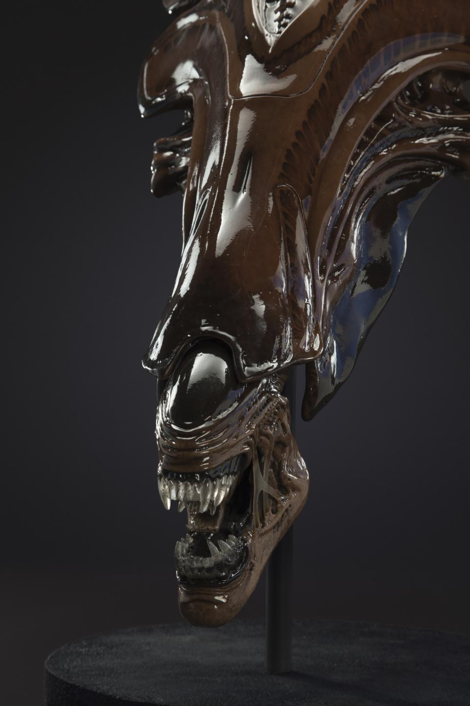 1:3-scale Queen Alien head from <em>Alien: Resurrection</em> (Photo: studioADI)