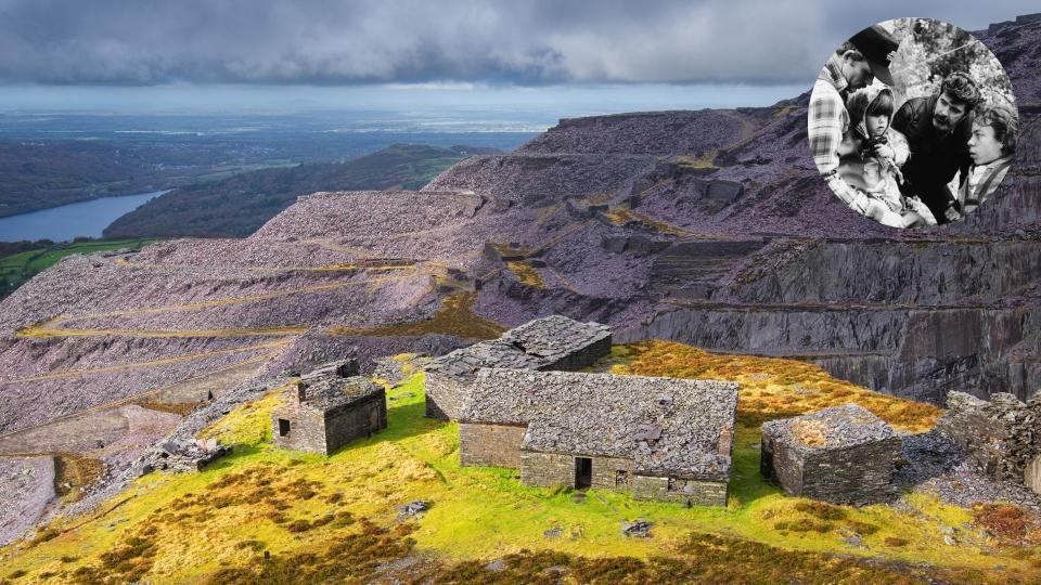 Dinorwic Quarry, Wales, UK - Willow