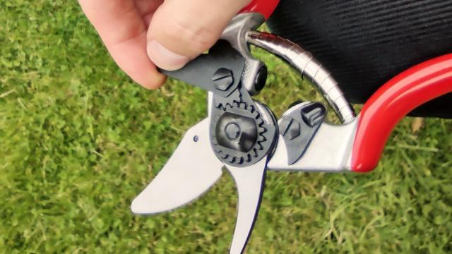 FELCO 2 One-Hand Pruning Shear Review: A Champ in the Garden