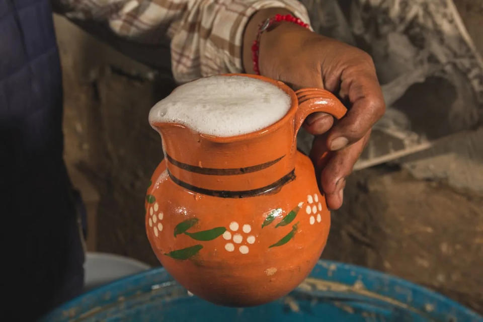 ¿Eres amante del pulque? Prepárate para la Feria del Pulque 2024.