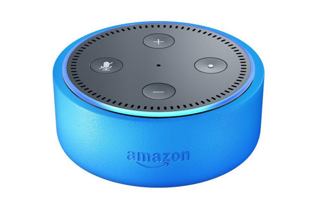 made a kid-friendly Alexa with an Echo Dot to match