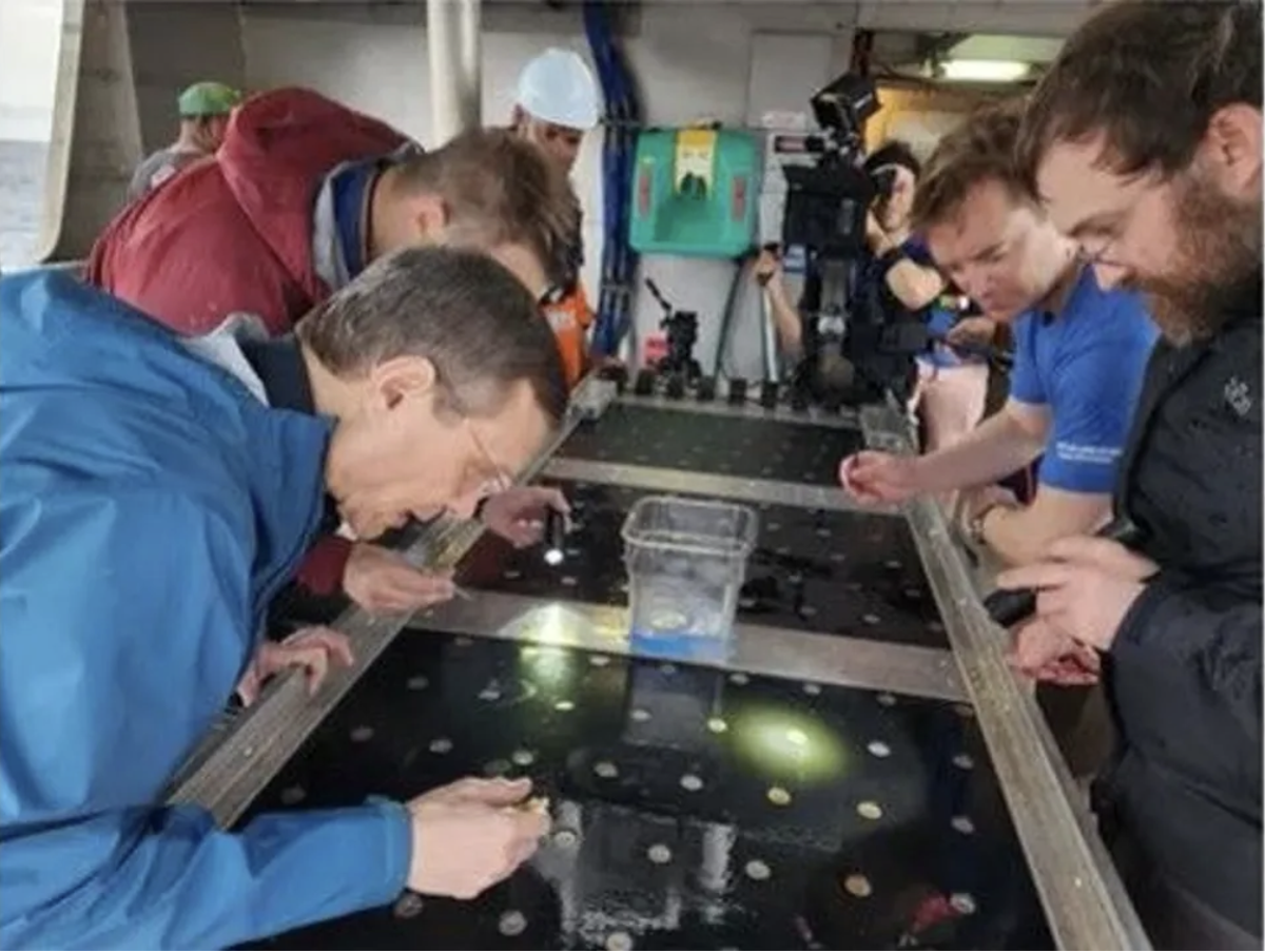 Loeb and the research team on the Silver Star examine ‘spherules’ recovered from the bottom of the Pacific Ocean (Courtesy of Avi Loeb)