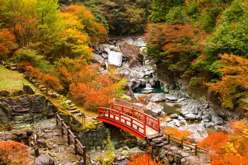 ▲高知縣安居溪谷可以欣賞楓紅之美。（圖／燦星旅遊提供）