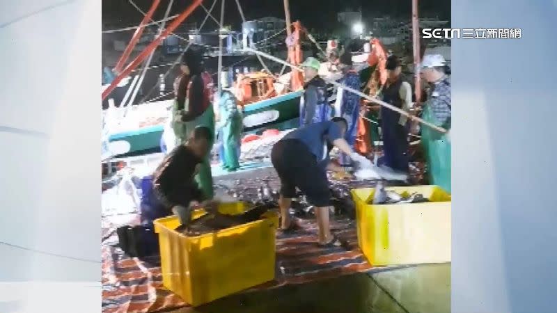 漁民捕獲1萬隻的烏魚，協力搬上岸。