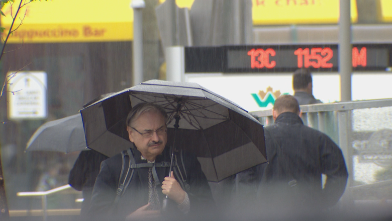 Hang on to your umbrella: Edmonton battered with rain, wind