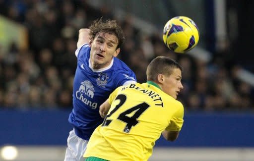 Everton's Nikica Jelavic (L) during a Premier League match at Goodison Park stadium on November 24. "We are looking for a bit more from him at the moment, because we are a bit short," said Everton manager David Moyes of Jelavic