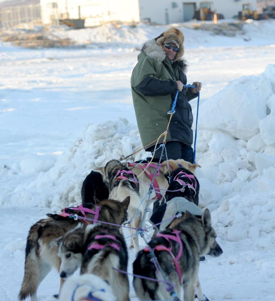 Sonny Lindner lines out his dogs after coming into the Unalakleet checkpoint at 6:09 PM during the 2014 Iditarod Trail Sled Dog Race on Saturday, March 8, 2014. (AP Photo/The Anchorage Daily News, Bob Hallinen)