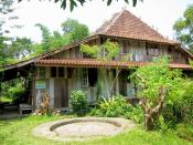 Butterfly park museum: With an admission fee of only Rp 10,000, visitors can cherish the beauty of colorful butterflies flying in the park.