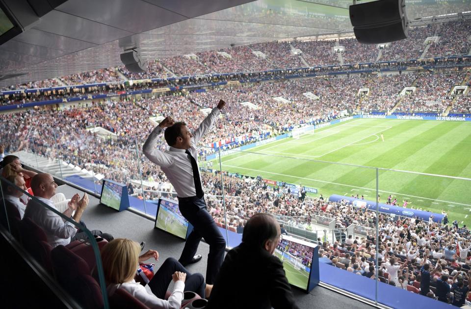 The French president celebrates from his World Cup box: Reuters