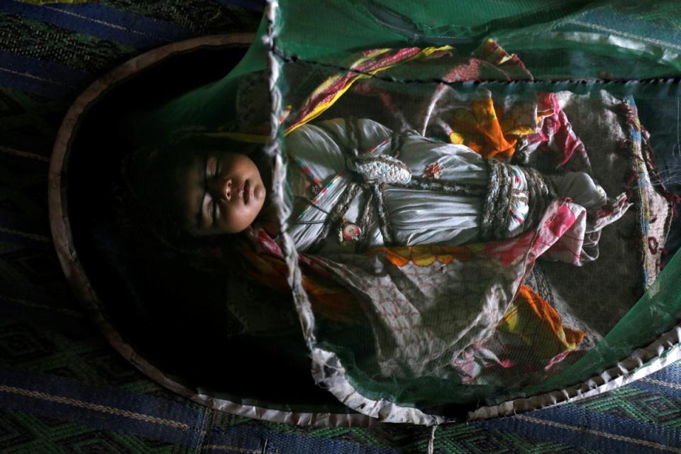 One-month-old Vamar Kumar sleeps at home under a mosquito net (Reuters)