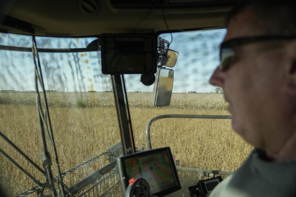 A soybean field is visible as Doug Downs drives his combine during harvest, Tuesday, Oct. 10, 2023, at a farm near Allerton, Ill. Downs, the Illinois farmer, has tried to incorporate cover crops into some of his operations, especially to control weeds. (AP Photo/Joshua A. Bickel)