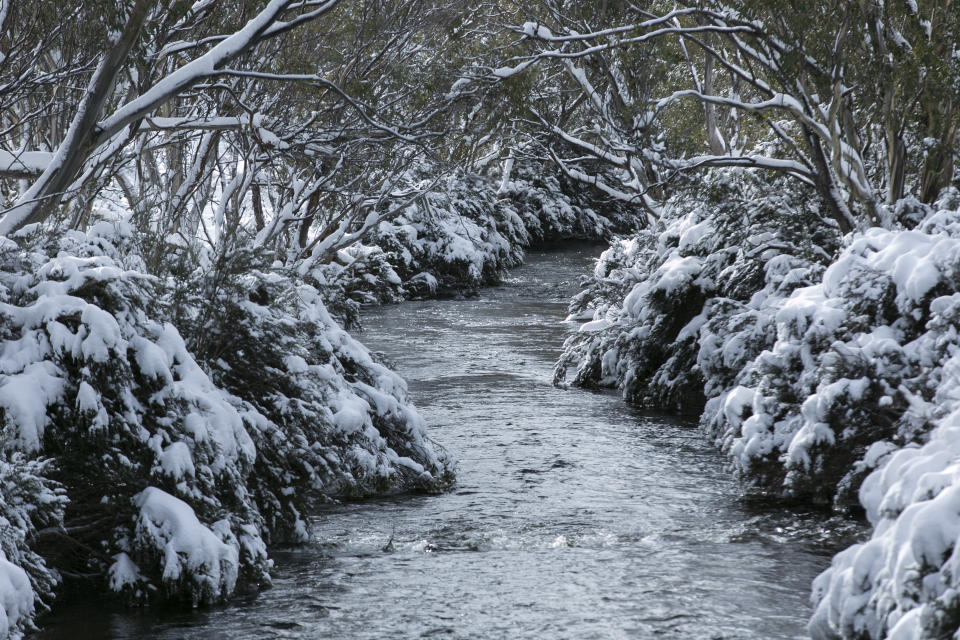 THREDBO, NSW - JUNE 25:  A view of Thredbo River on June 25, 2016 in Thredbo Village, Australia. Snow has been forecast across Eastern Australia as a cold front continues to bring low temperatures, rain and potentially damaging winds.  (Photo by Martin Ollman/Getty Images)