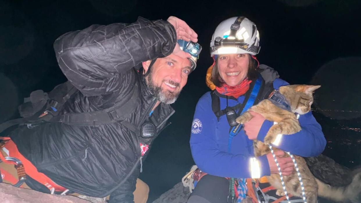  Link the Adventure Cat and her owner being rescued on the First Flatiron in near Boulder, Colorado. 