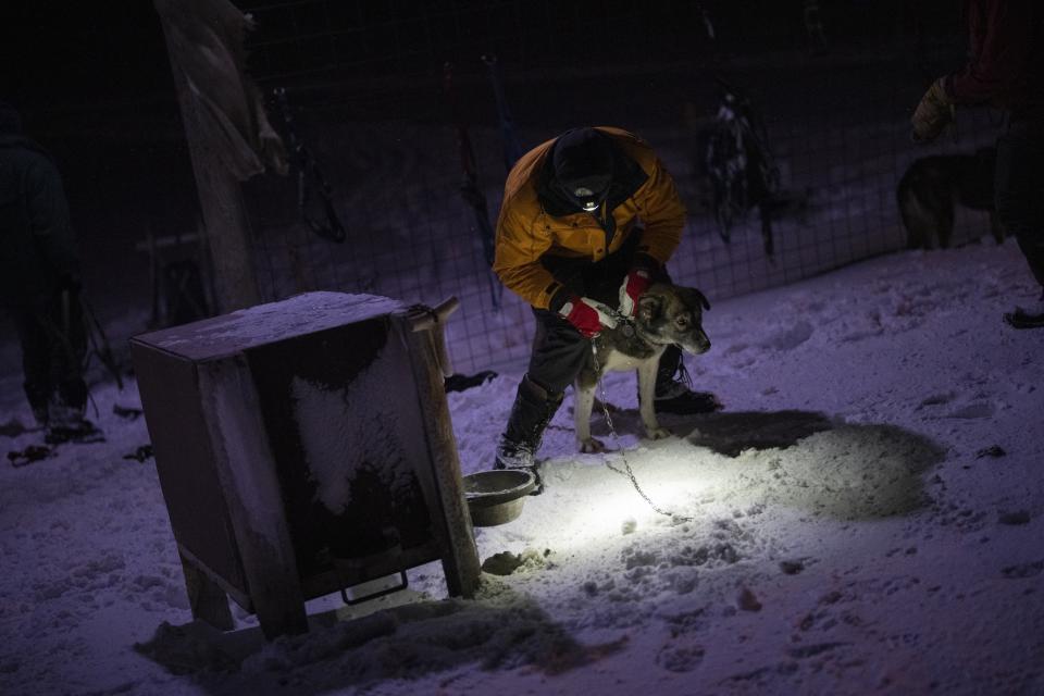 A dog is harnessed to its hut at a dog yard in Bolterdalen, Norway, Tuesday, Jan. 10, 2023. The yard is located half a dozen miles from the main village in Svalbard, a Norwegian archipelago so close to the North Pole that winter is shrouded in uninterrupted darkness. (AP Photo/Daniel Cole)