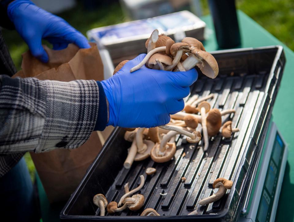 Nick Parsch weighs out mushrooms for a customer at the FirstLite Farms booth at the Woolery Farmers' Market on Saturday, April 8, 2023.