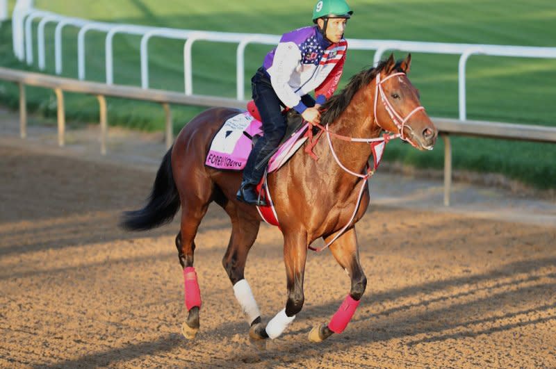 Undefeated globetrotter Forever Young, Japan's top hope for the Kentucky Derby, tests the Churchill Downs track on Wednesday. Photo courtesy of Churchill Downs