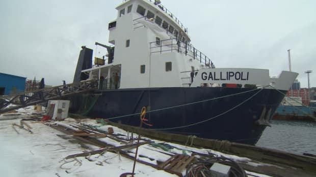 The MV Gallipoli, pictured here in 2019, usually provides service on the Ramea-Grey River-Burgeo ferry run but was taken out of service earlier this year. (Eddy Kennedy/CBC - image credit)