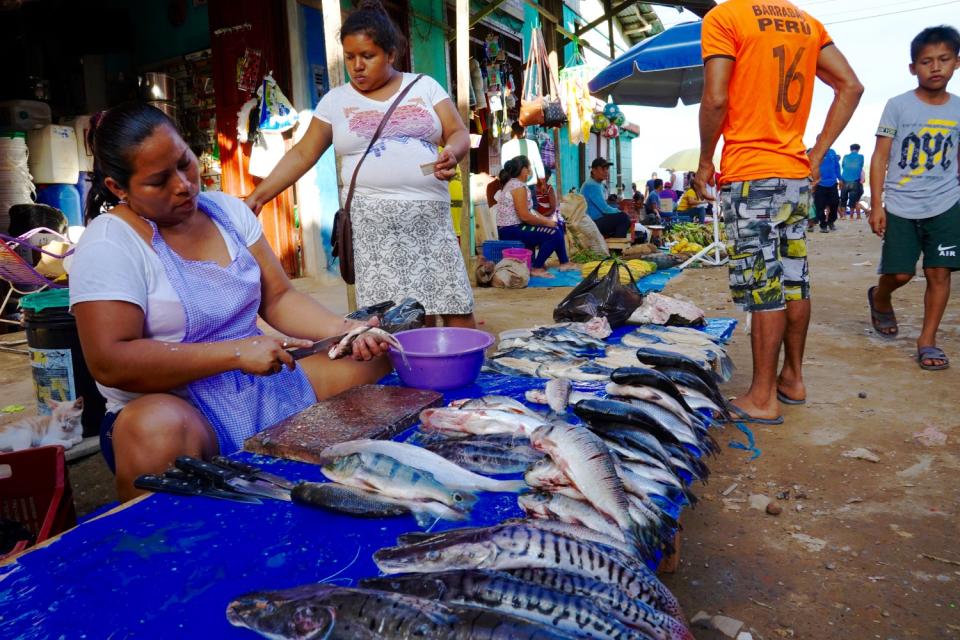 A woman sells fish at the open-air market in Nauta on the Maranon River in Peru