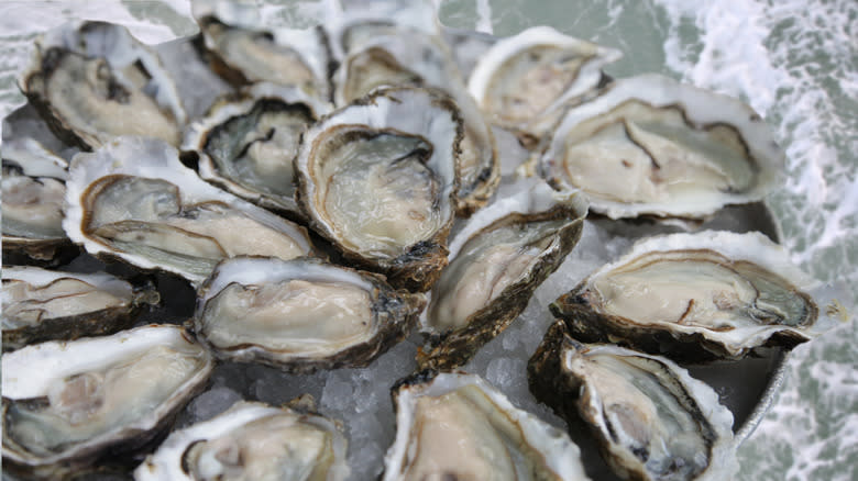 A plate of oysters