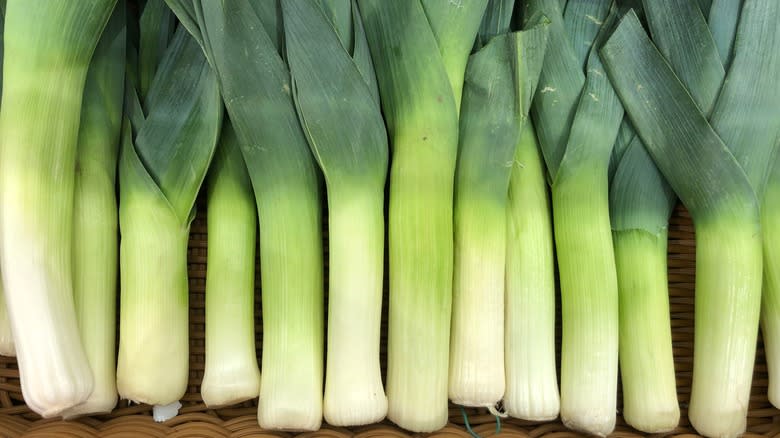 row of young leeks