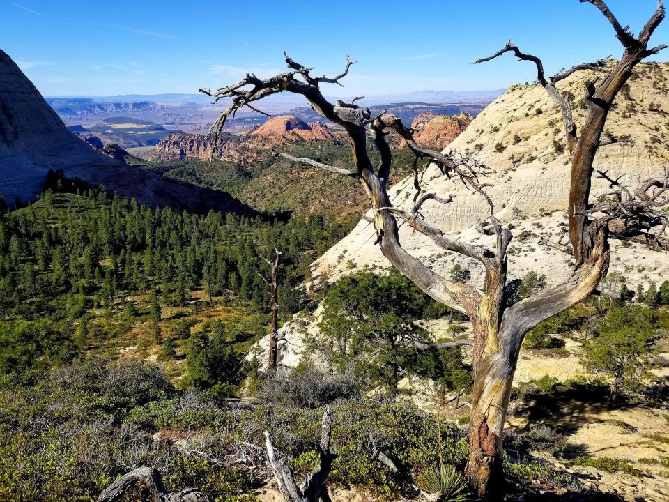 The southern edge of the west peak, at the end of the Northgate Peaks Trail in Zion National Park, as seen from the top of the east peak.