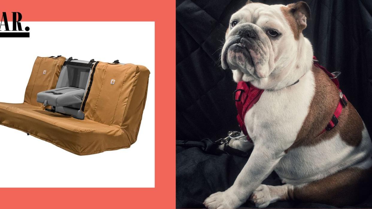 best car seat covers for pet owners