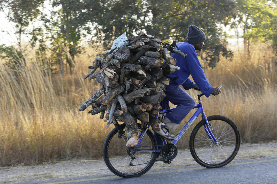 A man carries firewood on his bicycle in Zvimba, rural Zimbabwe on Friday, June, 25, 2021. A new surge of the coronavirus is finally penetrating Africa’s rural areas, where most people on the continent live, spreading to areas that once had been seen as safe havens from infections that hit cities particularly hard. (AP Photo/Tsvangirayi Mukwazhi)