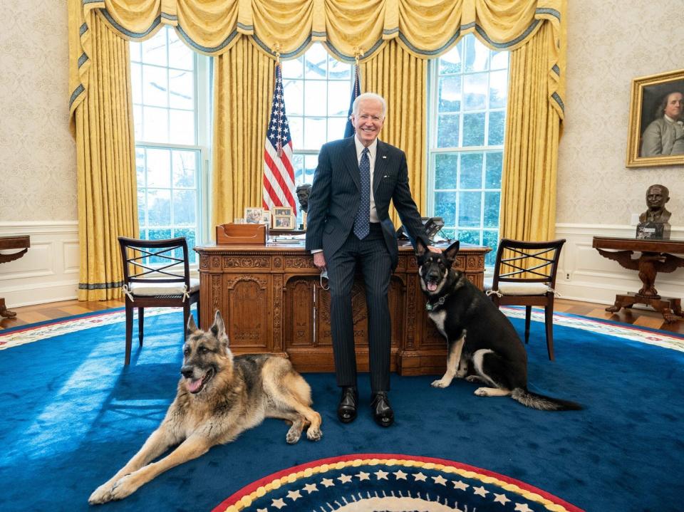 Joe Biden in Oval Office with Champ and Major