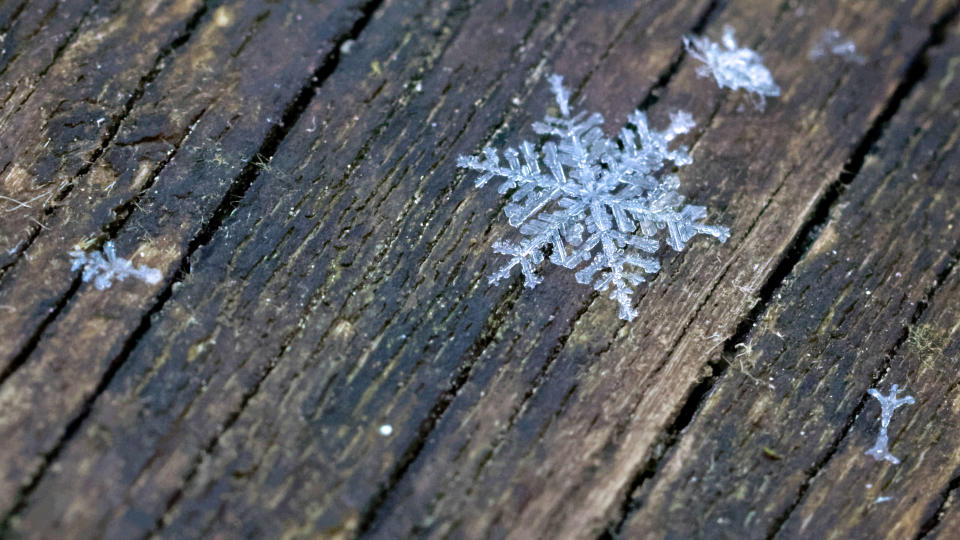 Eine Schneeflocke. (Bild: Getty)