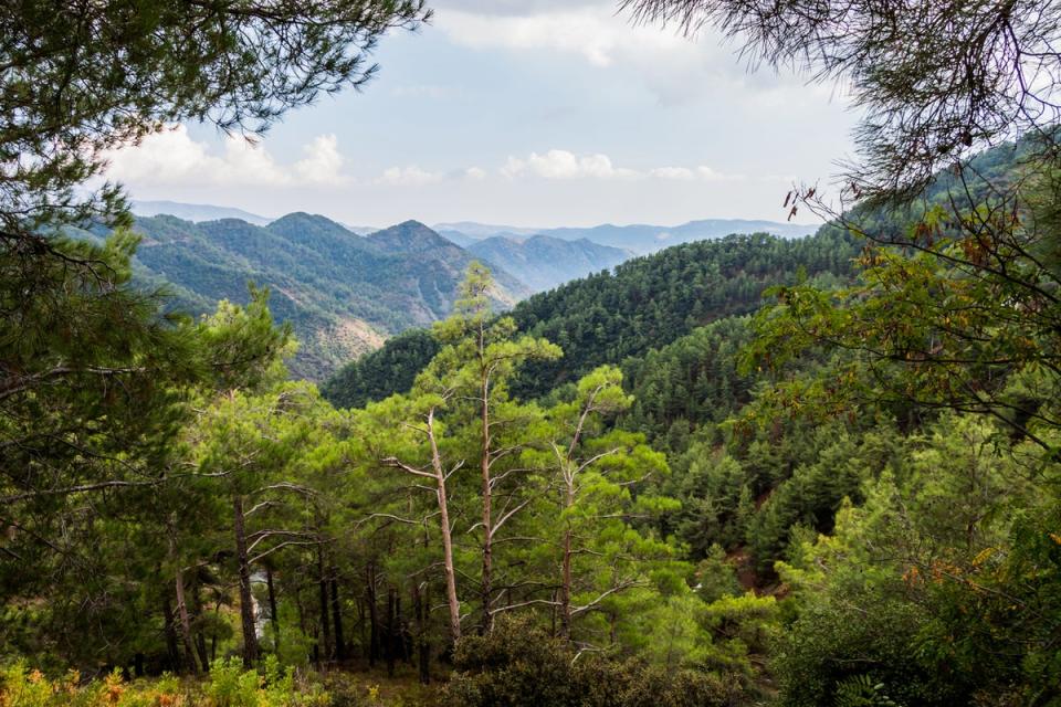 The highest point in the Troodos Mountains is on Mount Olympus, at 1,952m (Getty Images)