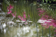 Reflections in the Japanese-inspired water garden of Claude Monet's house, French impressionist painter who lived from 1883 to 1926, waits ahead of the re-opening, in Giverny, west of Paris, Monday May 17, 2021. Lucky visitors who'll be allowed back into Claude Monet's house and gardens for the first time in over six months from Wednesday will be treated to a riot of color, with tulips, peonies, forget-me-nots and an array of other flowers all competing for attention. (AP Photo/Francois Mori)