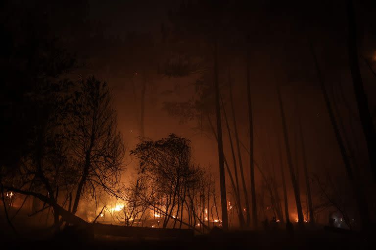 Fuego; incendios; Europa; España; Francia; Portugal; Mundo; ola de calor