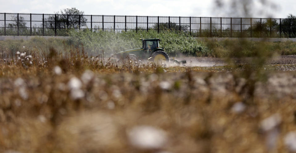 In this Sept. 6, 2012, photo, a tractor is used to farm in cotton field along the U.S.-Mexico border fence that passes through the property in Brownsville, Texas. Since 2008, hundreds of landowners on the border have sought fair prices for property that was condemned to make way for the fence, but many of them received initial offers that were far below market value. (AP Photo/Eric Gay)