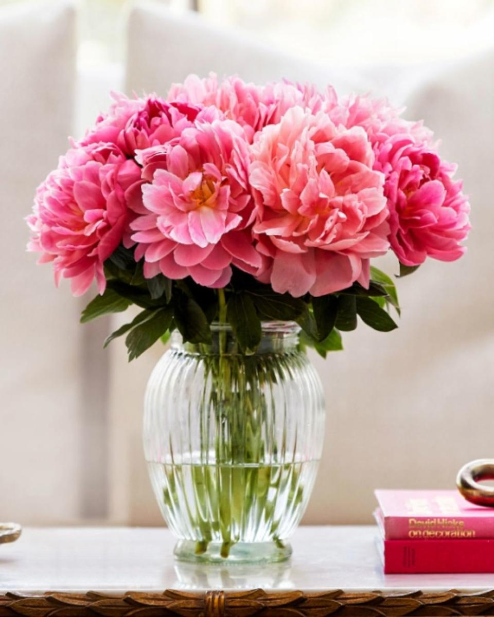 <p><a href="https://go.redirectingat.com?id=74968X1596630&url=https%3A%2F%2Fwww.flowerbx.com%2Fus%2Fflower-subscription%2Fpeonies&sref=https%3A%2F%2Fwww.townandcountrymag.com%2Fleisure%2Ftravel-guide%2Fg60721024%2Fplum-sykes-wives-like-us-cotswolds-essentials%2F" rel="nofollow noopener" target="_blank" data-ylk="slk:Shop Now;elm:context_link;itc:0;sec:content-canvas" class="link ">Shop Now</a></p><p>Peony Subscription</p><p>Flowerbx</p>